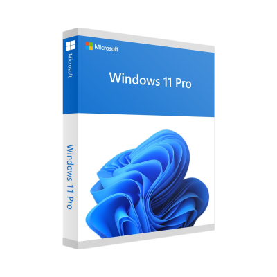 Windows 11 Pro